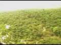 viajem pela amazônia