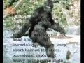 Sasquatch Anatomy 101- Skin, Hair, Odor Sasquatch Anatomy 101- Skin, Hair, Odor