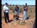 Kamarooka Field Trip 2008