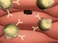 Specific Immunity, Antibodies