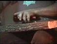 HAT FITZ & ITCHY HAT V THE 0NE STRING LOG GUITAR