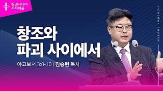 (수지채플) 창조와 파괴 사이에서