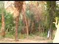 Botanic Garden Aswan Egypt