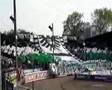 Fans Preußen Münster