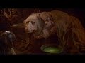 castle walls   styx   dark crystal