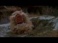 Castle Walls - Styx - Dark Crystal - The Dark Crystal - Flixster Video