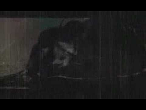 Dir En Grey - Protoplasm [New Music ...