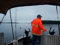 Landlocked Salmon Fishing