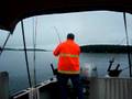 Landlocked Salmon Fishing