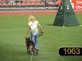 SV BSZS-2006 Oberhausen World German Shepherd Championship Ruden Protection (Part VIII). Vegas du Haut Mansard, Baran von Bad-Boll, Tony degli Achei, Limbo von Bad-Boll, Waiko di Casa Massarelli, Quenn vom Loeher Weg. By eyes of Irina Kuznetsova ( vom Irin Hof kennel ).Бундес Зигер 2006 Оберхаузен Немецкая овчарка Кобели Проверка поведения (Часть VIII) как её увидела Ирина Кузнецова ( владелица питомника фом Ирин Хоф ).http://members.virtualtourist.com/m/tt/79622/#TL