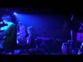 animal collective grace