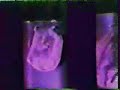 Rare Alien Video Rare Alien Video