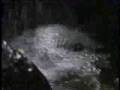 Terra - Ambient Music & Natural Splendor