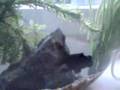 Discovery channel Discovery channel