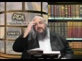פרשת בראשית – הרב שלמה לוינשטיין (ערכים)