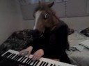 Horse virtuoso pianist