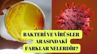 Bakteri ve virüsler arasındaki farklar nelerdir?