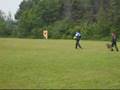 Schutzhund Estrie