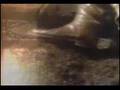 Asia - Don't Cry