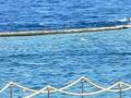 Swim with dolphins with Ghannah Lodge Egypt