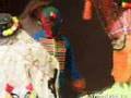 videos de WAKA - WAKA