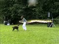 Dog Dancing