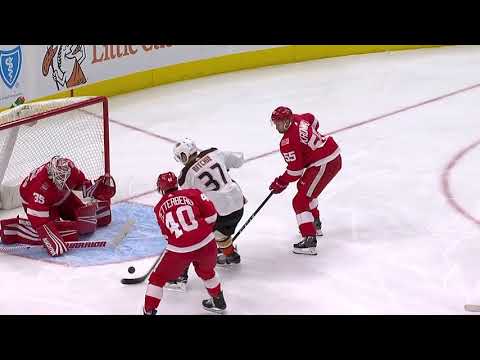 Video: Anaheim Ducks vs Detroit Red Wings | NHL | Feb-13-2018 | 20:30 EST