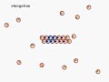 Actin Polymerization