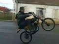 puch minicross grandes caballitos big wheelies