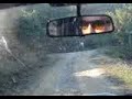 GARDIKI.GR - Tzip Gardiki TRELA