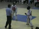 2008 Palarong Pambansa - Taekwondo