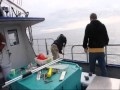 See us Catching Fish Off Kodiak Island - YouTube