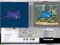 Speed modelling a Giant Mantaray!