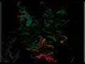 Samuraj - Hardlooking Babes (2 Playaz Remix Edit)