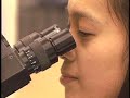 A UNC-TV segment on gonorrhea and chlamydia infections in North Carolina. Produced by the Science & Medical Journalism Program of UNC at Chapel Hill.