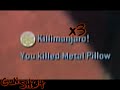 gun sh0t ::   a halo pro   1st halo 2 montage