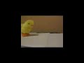 super_pollito_v2