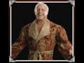 Ric Flair And Hulk Holgan-When you were young