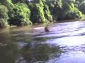 pulo no rio pardo_NEW.avi pulo no rio pardo_NEW.avi