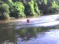 pulo no rio pardo_NEW.avi