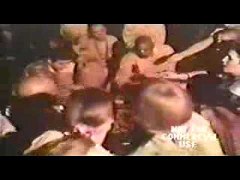 Doc - White Angel / Black Angel (1970)