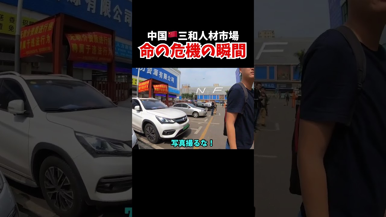 動画2