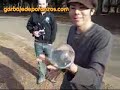 Bola de cristal Bola de cristal