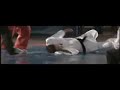 Down syndrome:&nbsp;S�ndrome de Down: Yo tambi�n puedo