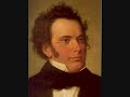 Schubert's Arpeggione Sonata, Movement 1