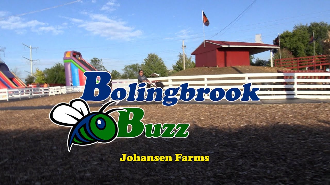 Bolingbrook Buzz - Johansen Farms