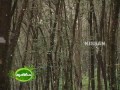 Activities and functioning of the Kerala State Farming Corporation of Kerala
