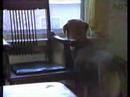 My Afternoon with Tippy (Andy 1991)