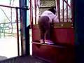 Sydney at the playground