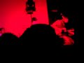 The Hush Sound - Wine Red